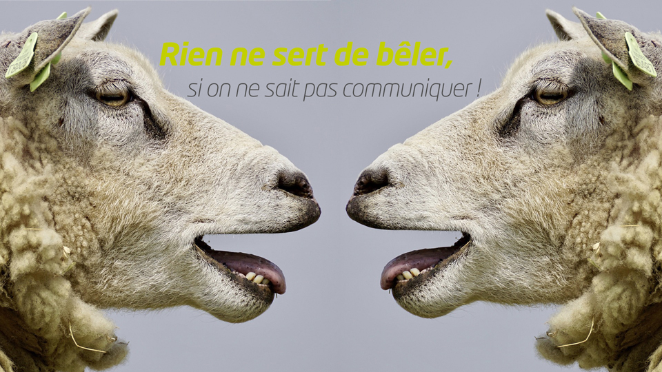 Rien ne sert de bêler, si on ne sait pas communiquer !